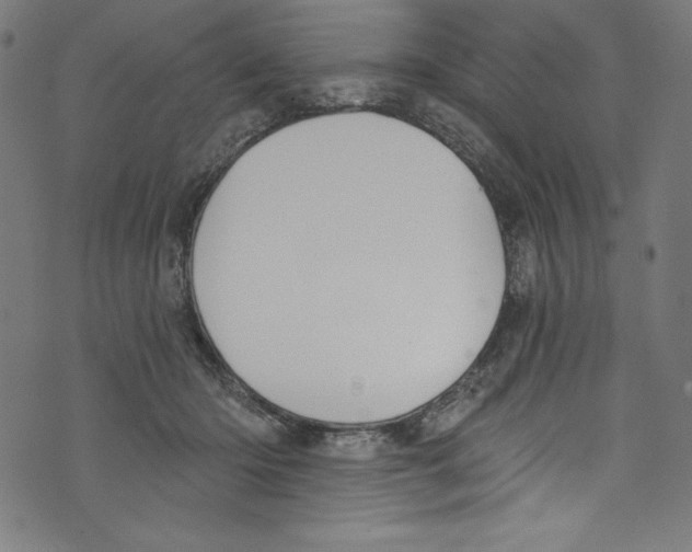 X0000072970414200608211327