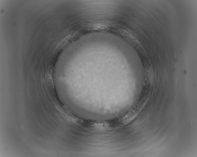 X0000072970415200608211327