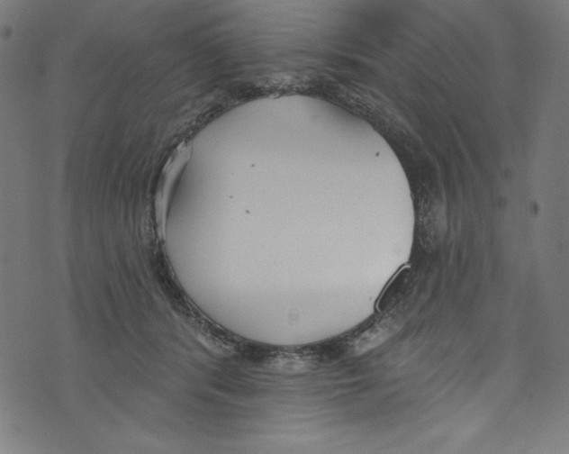 X0000072970416200608211327