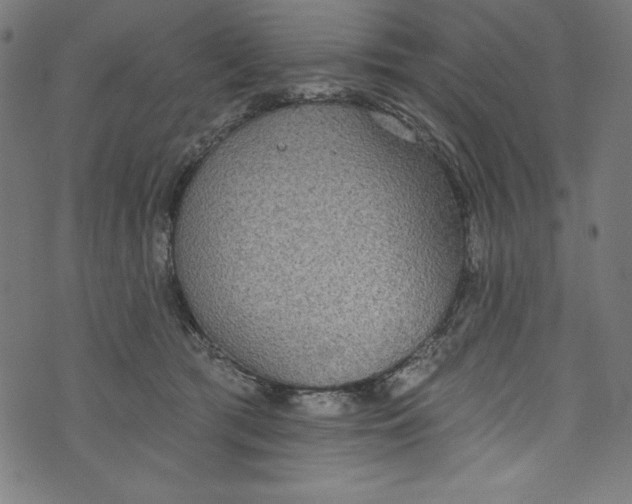 X0000072970417200608211327