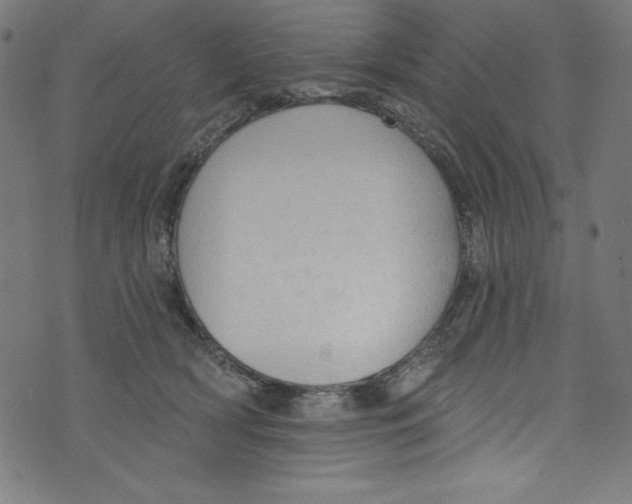 X0000072970418200608211327