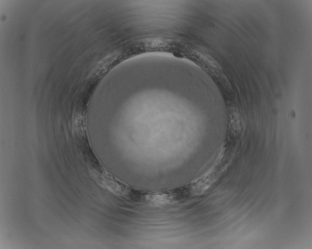 X0000072970419200608211327