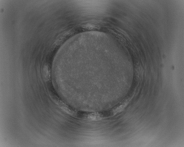 X0000072970420200608211327