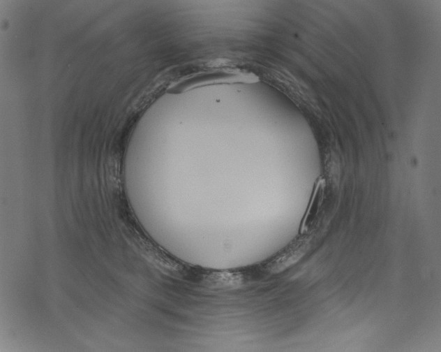 X0000072970421200608211327