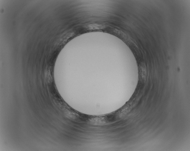 X0000072970422200608211326