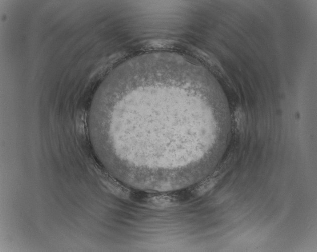 X0000072970423200608211326