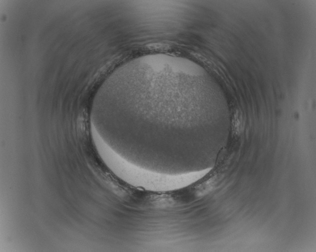 X0000072970424200608211326