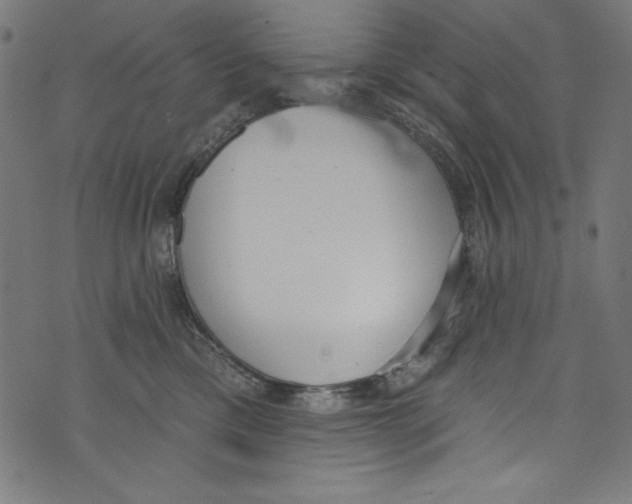 X0000072970425200608211326