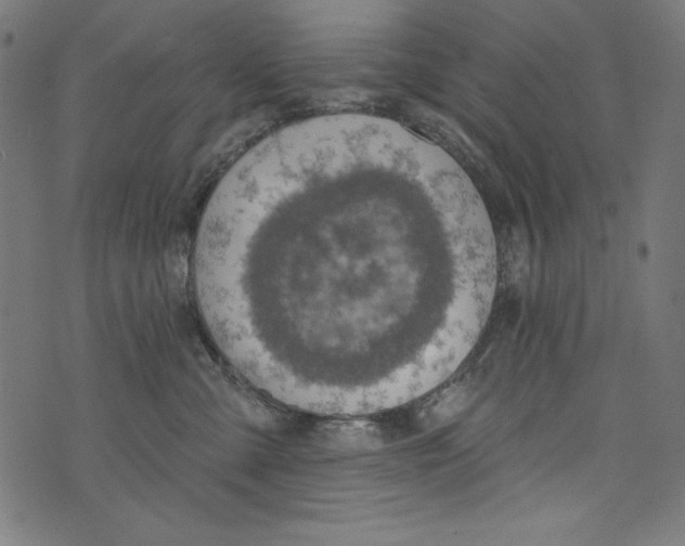 X0000072970427200608211326