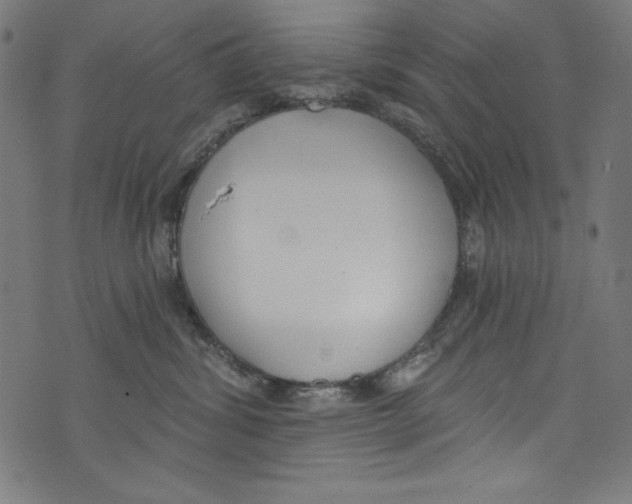 X0000072970428200608211326