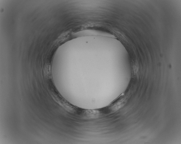 X0000072970429200608211326