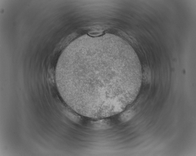 X0000072970430200608211326