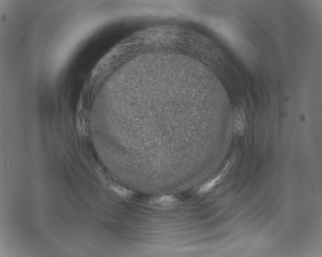 X0000072970431200608211326