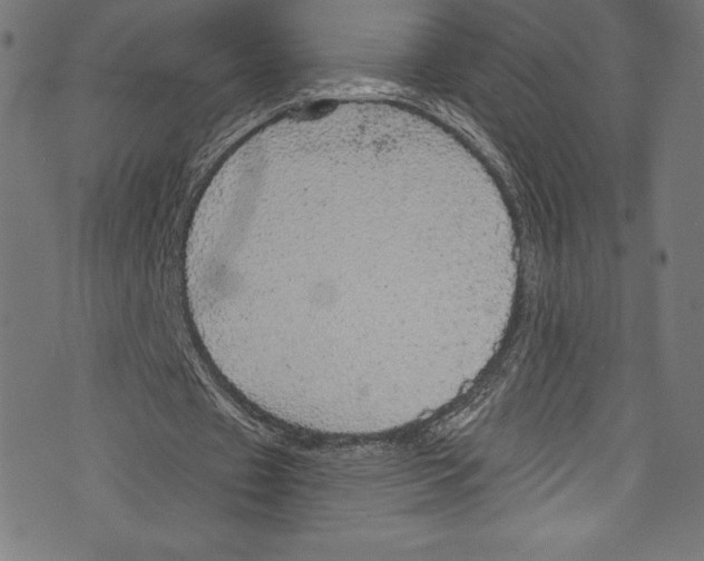 X0000072970433200608211326