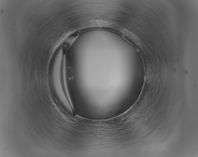 X0000072970436200608211326