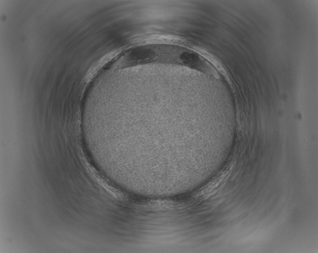 X0000072970437200608211326