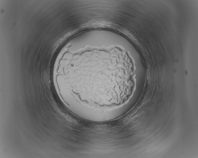 X0000072970438200608211326