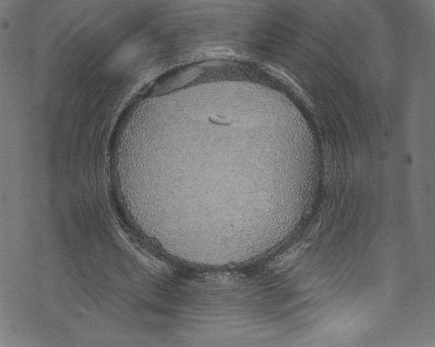 X0000072970439200608211326