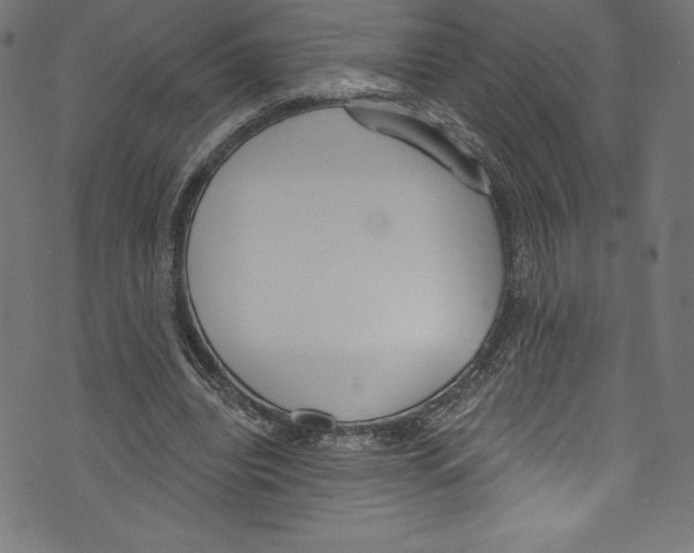 X0000072970440200608211326