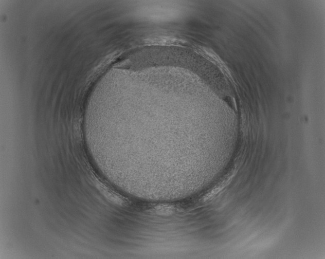 X0000072970441200608211326