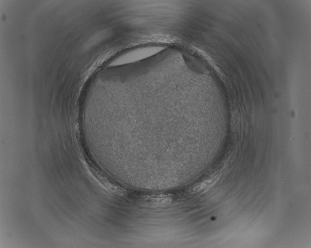 X0000072970443200608211326