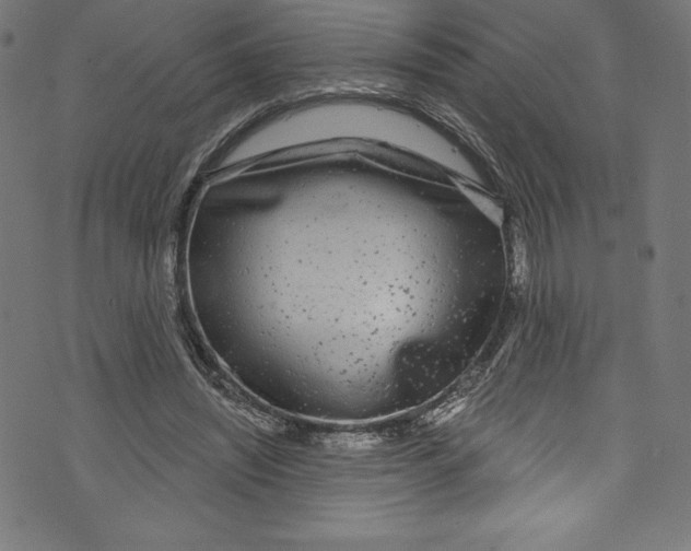 X0000072970444200608211326