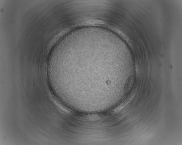 X0000072970445200608211326