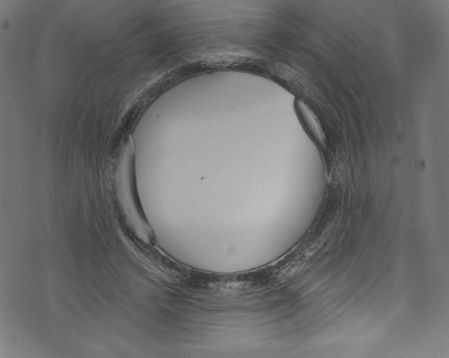 X0000072970448200608211326