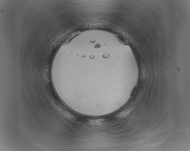 X0000072970450200608211326