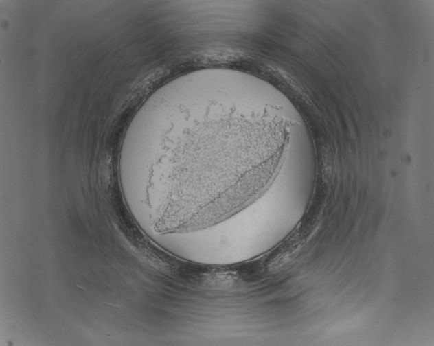 X0000072970451200608211326