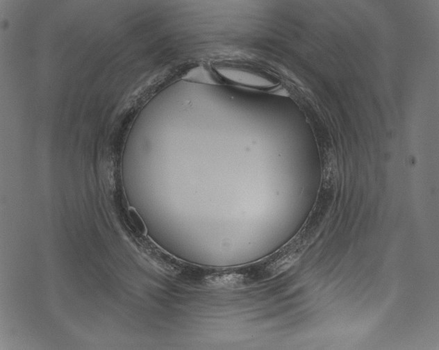 X0000072970452200608211326