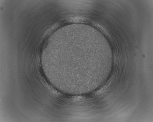 X0000072970453200608211326