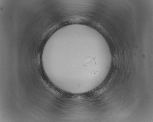 X0000072970454200608211326