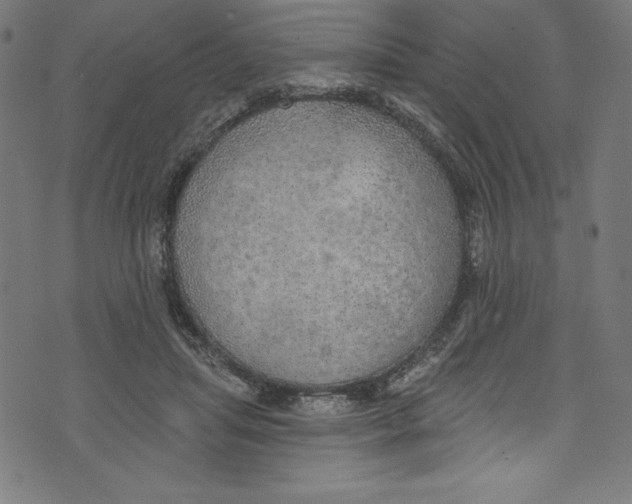 X0000072970455200608211326