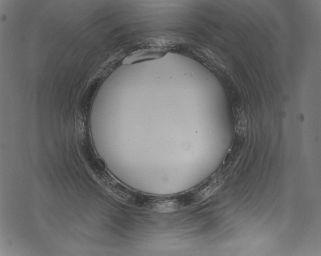 X0000072970456200608211326