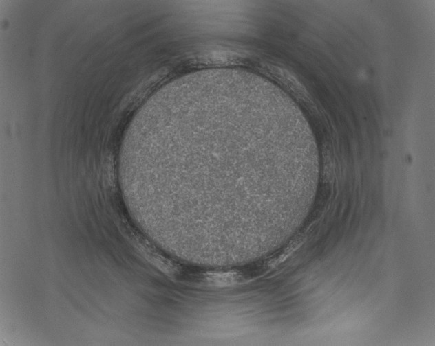 X0000072970457200608211326