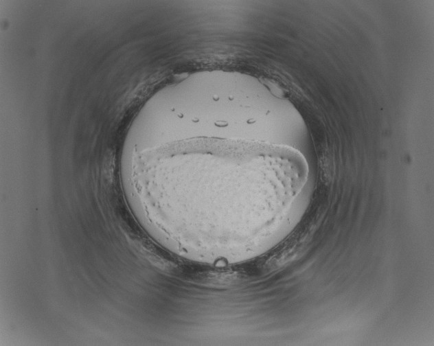 X0000072970458200608211326