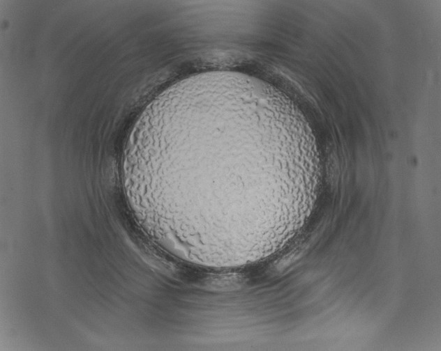 X0000072970459200608211326