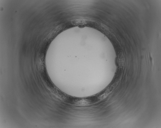 X0000072970460200608211326