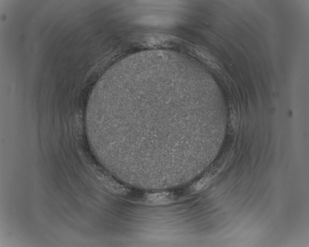 X0000072970461200608211326