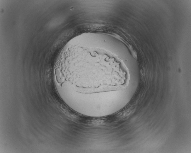 X0000072970462200608211326