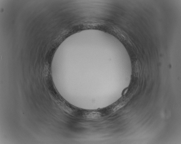 X0000072970463200608211326