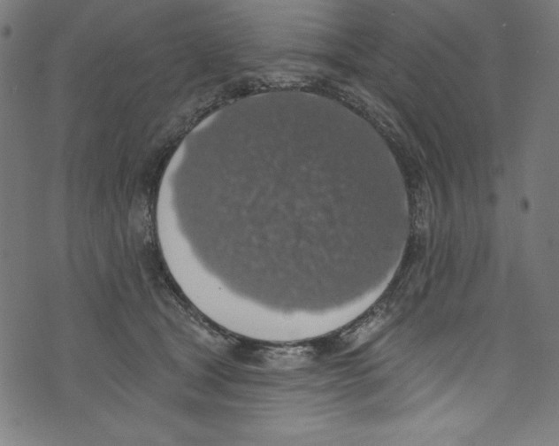 X0000072970465200608211326