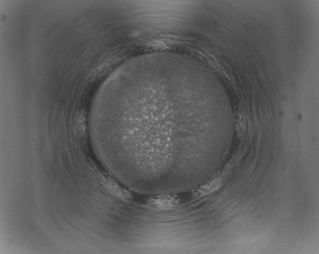 X0000072970466200608211326