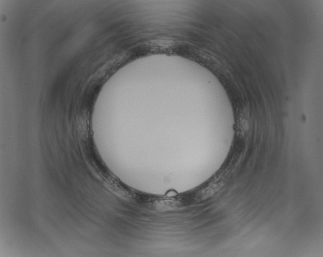 X0000072970468200608211326