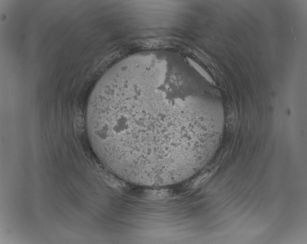 X0000072970469200608211326