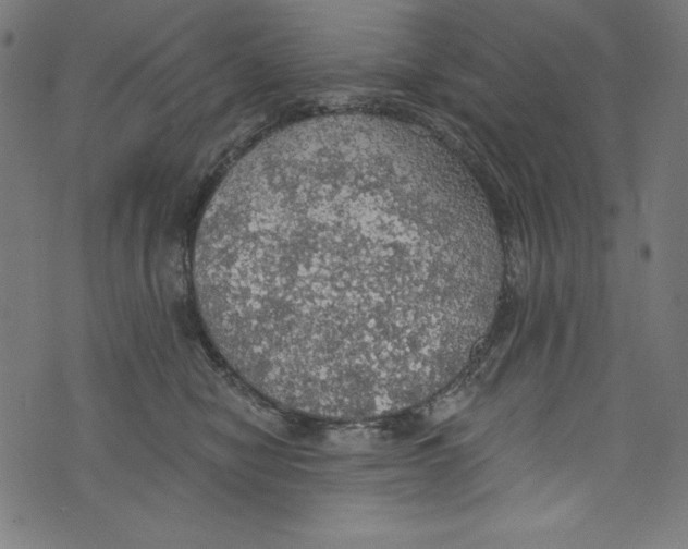 X0000072970470200608211326