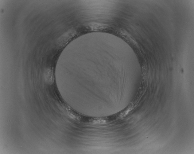 X0000072970471200608211326