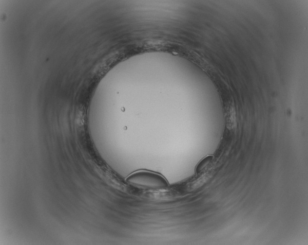 X0000072970472200608211326