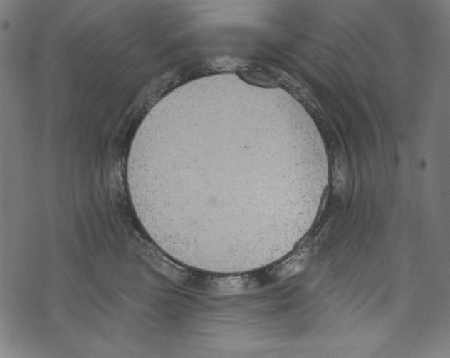 X0000072970473200608211326